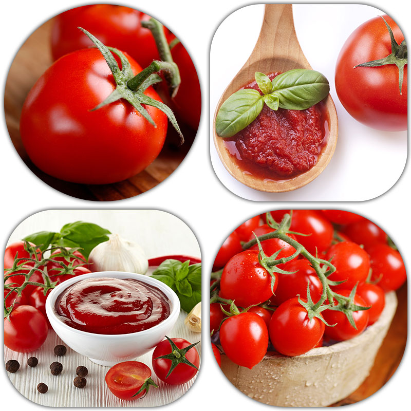 دانلود مجموعه تصاویر گوجه گیلاسی